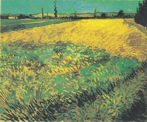 Tarweveld met heuvels van de Alpilles op de achtergrond